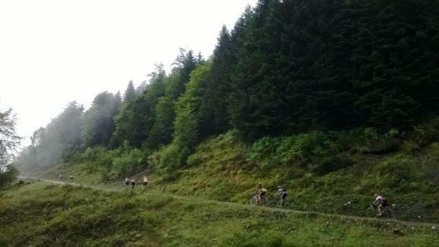 Hébergement de vacances Le Des Mousquetaires Lanne-en-Baretous